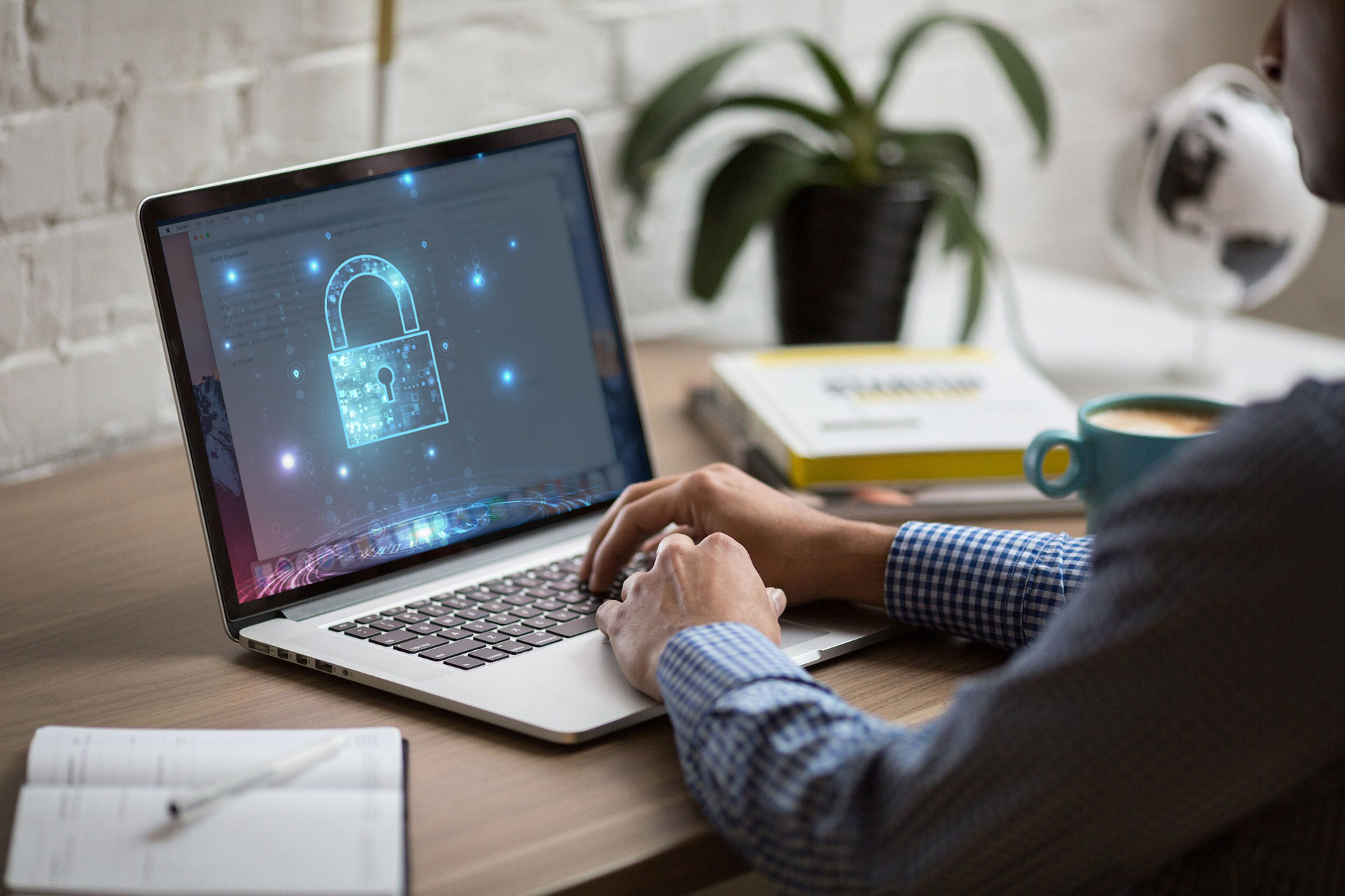 Data Breaches